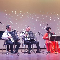 아코디언공연 이미지