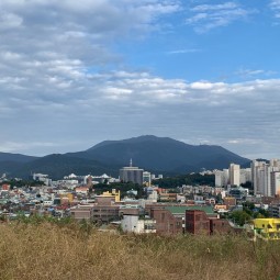 월산아파트 위에서 바라본 월산4동(무등산 방향) 이미지