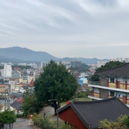 덕림사 위에서 바라본 월산동 이미지