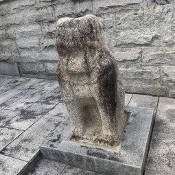 양림동 개비 이미지