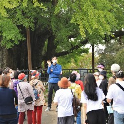 생생문화재-광주고싸움놀이로 고.고.고 체험사진(10월15일) 이미지
